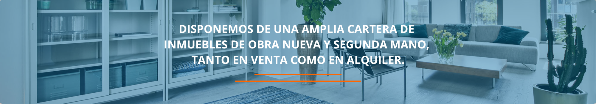 . PROMALSUR INMOBILIARIA en Puente Genil